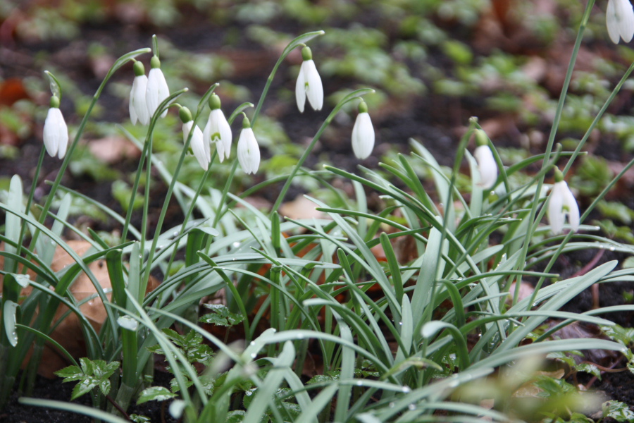 Frühling 2024